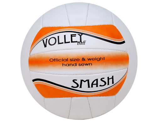 bvolleyball (3)