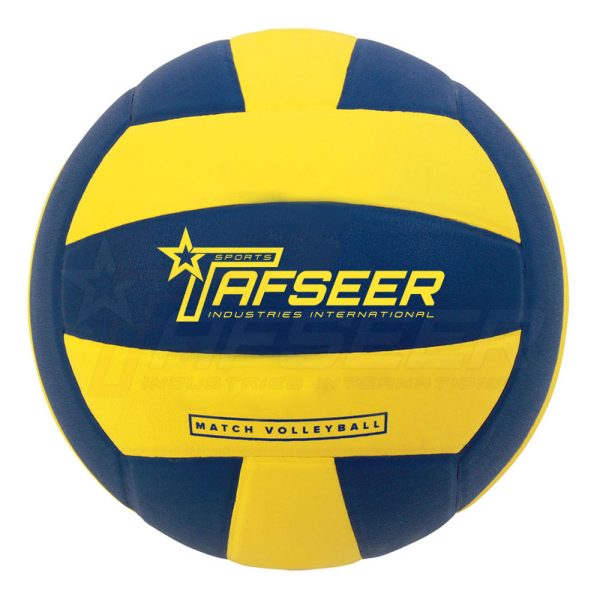 volleyball (6)