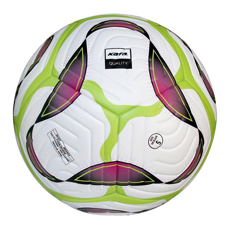 Premier League and youth training