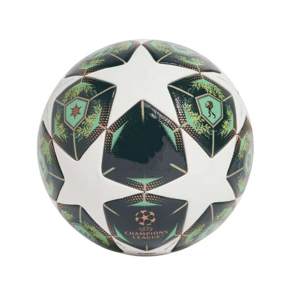 soccer ball for match and training