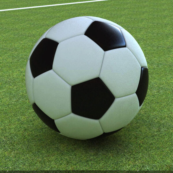 Custom Logo Professional Football