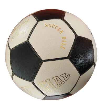 Custom Logo Professional Football