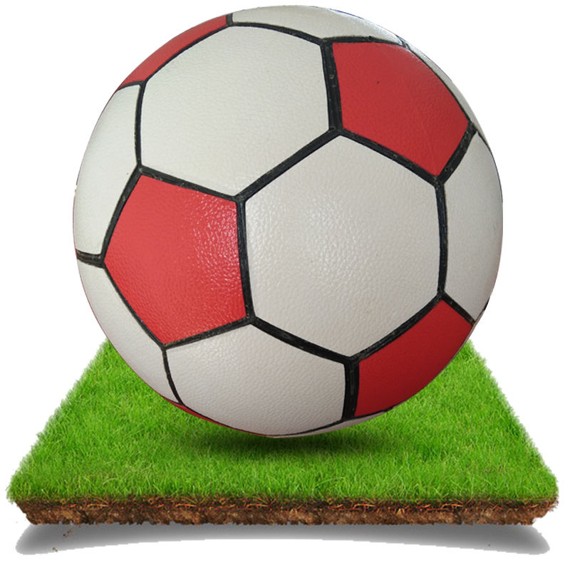 Custom Logo Professional Football