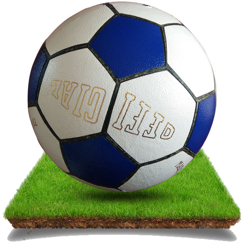 Custom Logo Professional Football