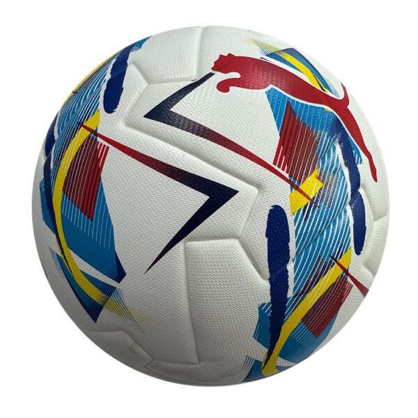 OEM Custom Professional Soccer Ball